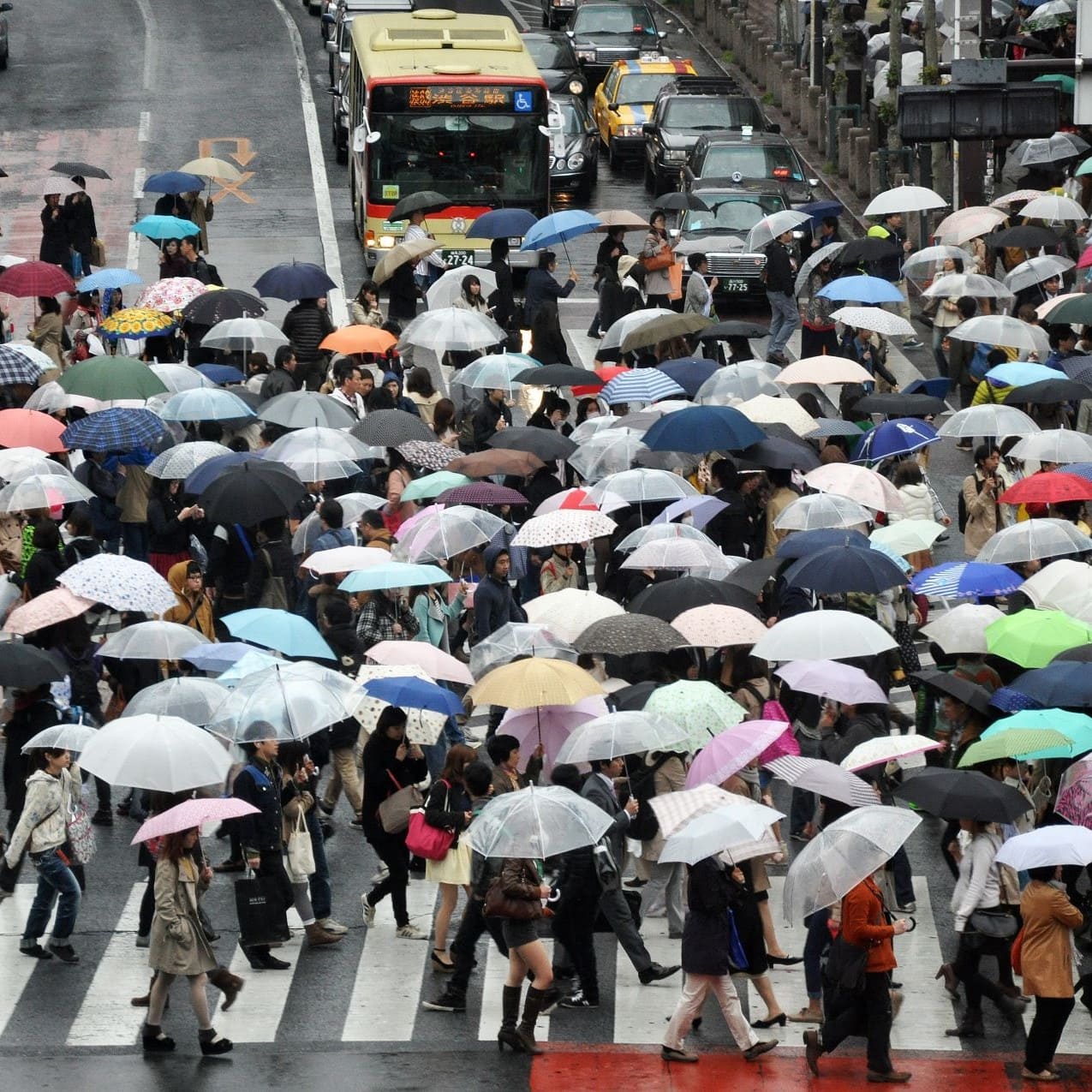 choosing umbrella