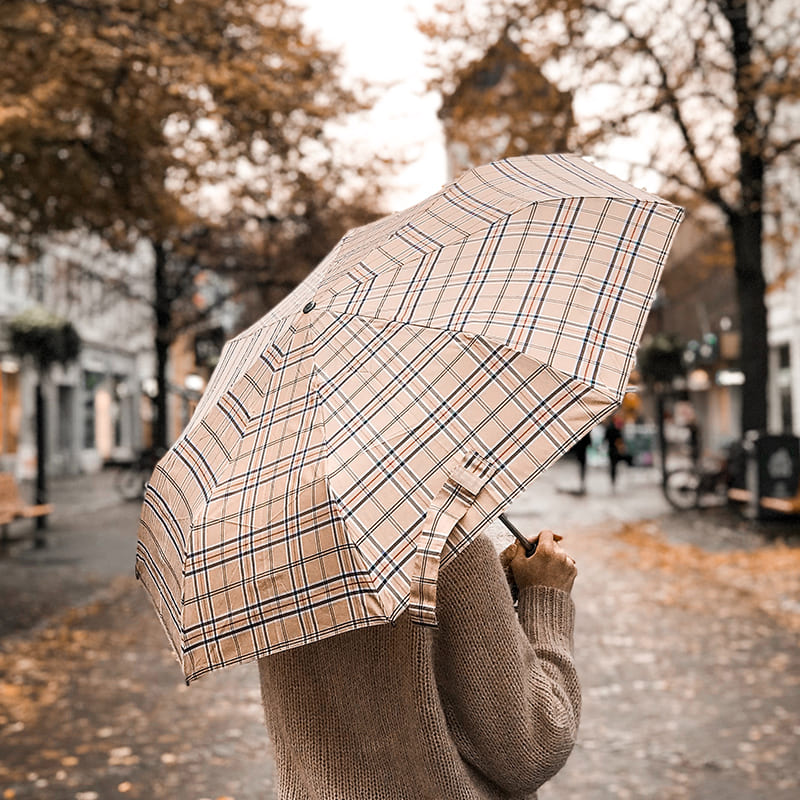 umbrella