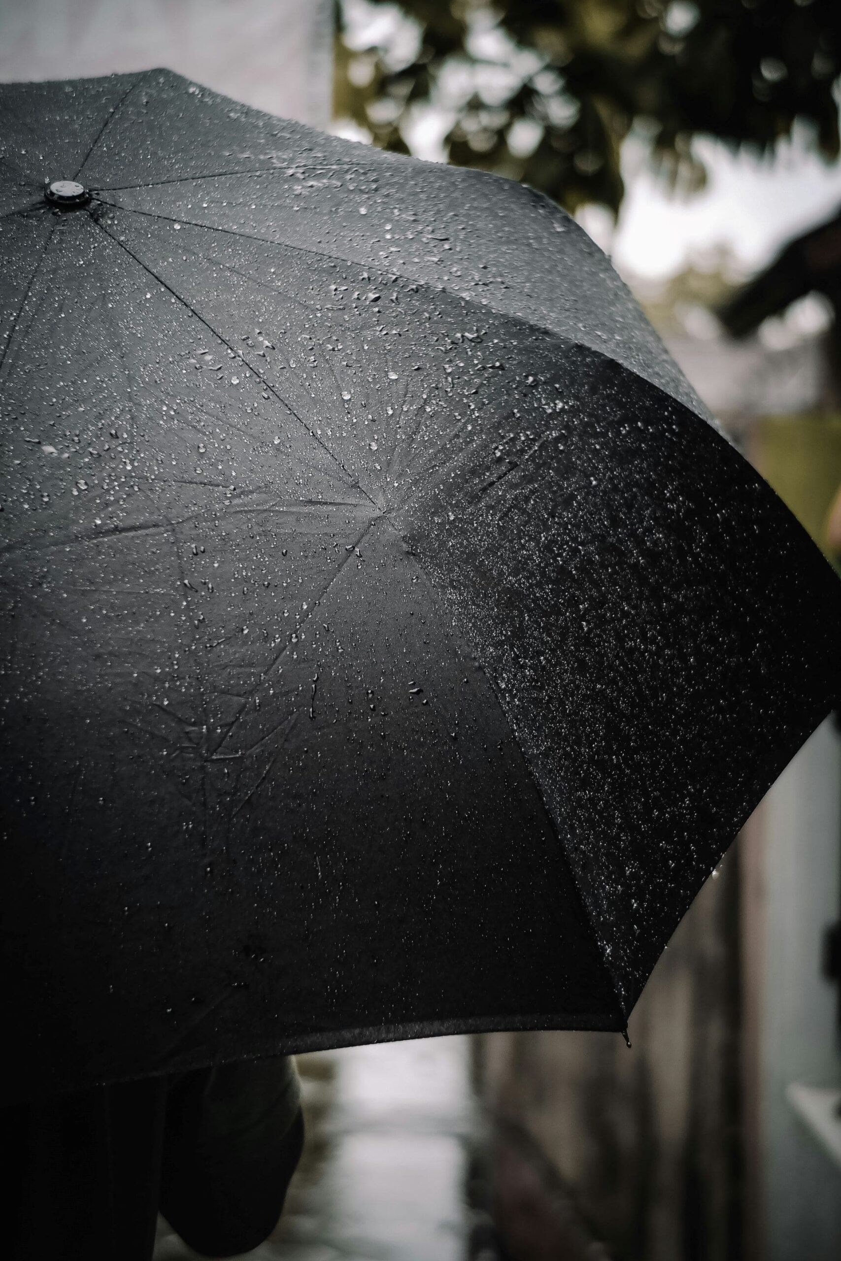 waterproof umbrella